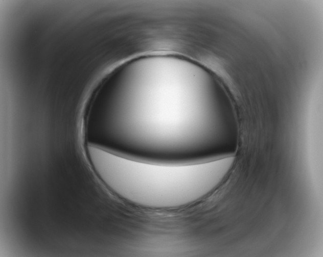X0000088901472200706080817