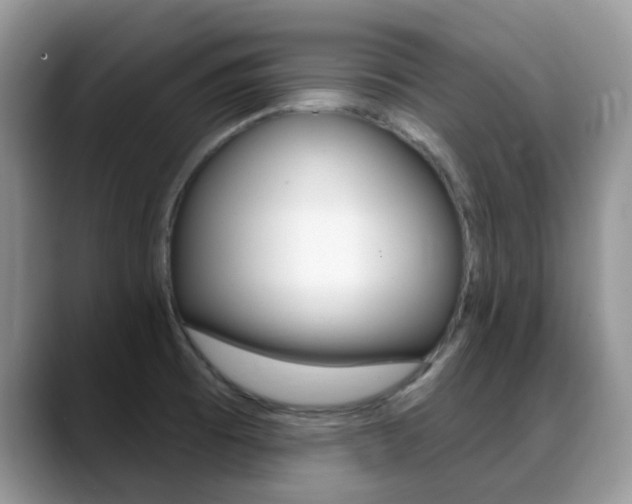 X0000088901473200706080817