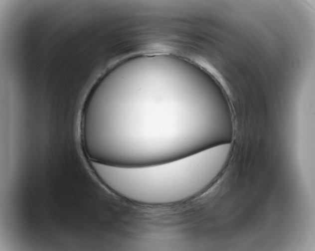 X0000088901477200706080817