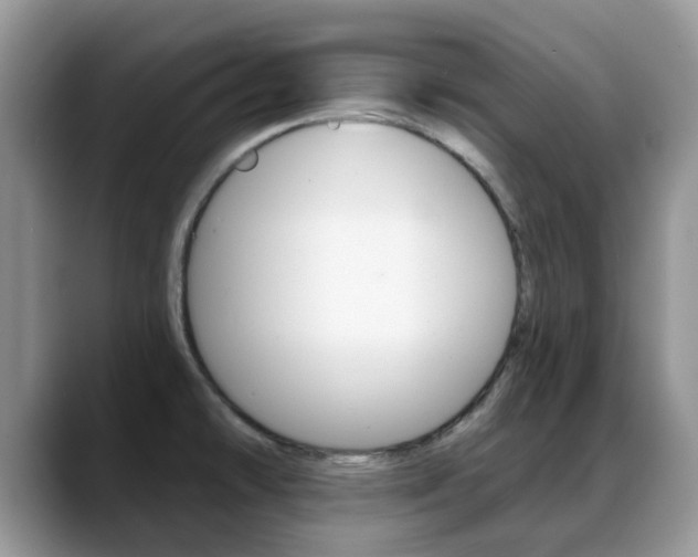 X0000088901478200706080816