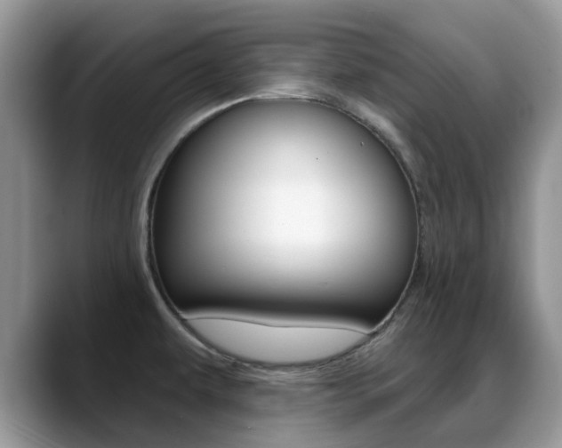 X0000088901479200706080816