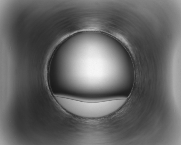 X0000088901480200706080816