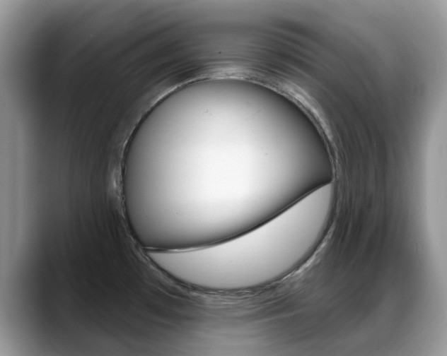 X0000088901481200706080816