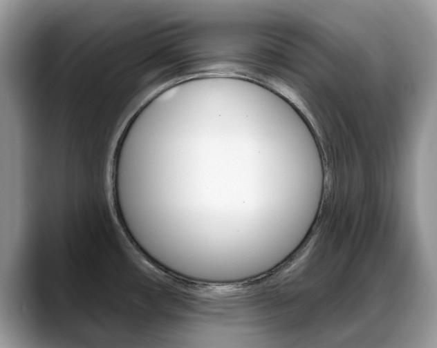 X0000088901482200706080816