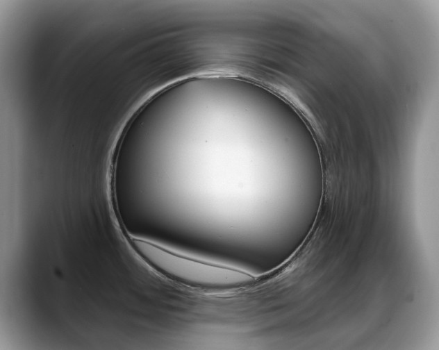 X0000088901484200706080816