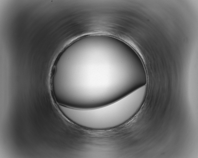 X0000088901485200706080816
