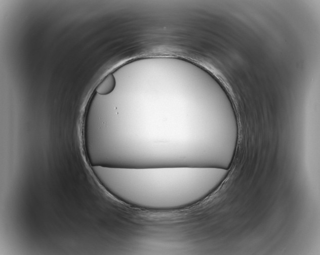 X0000088901486200706080816