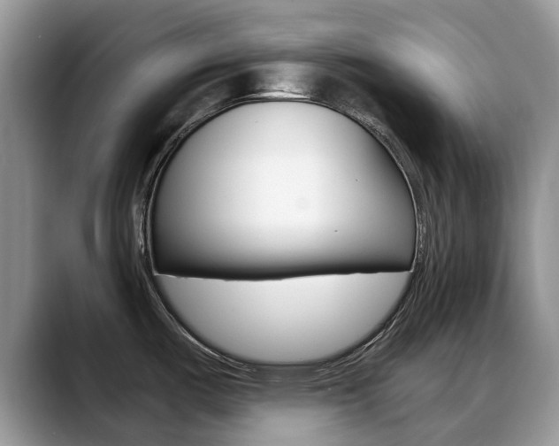 X0000088901487200706080816