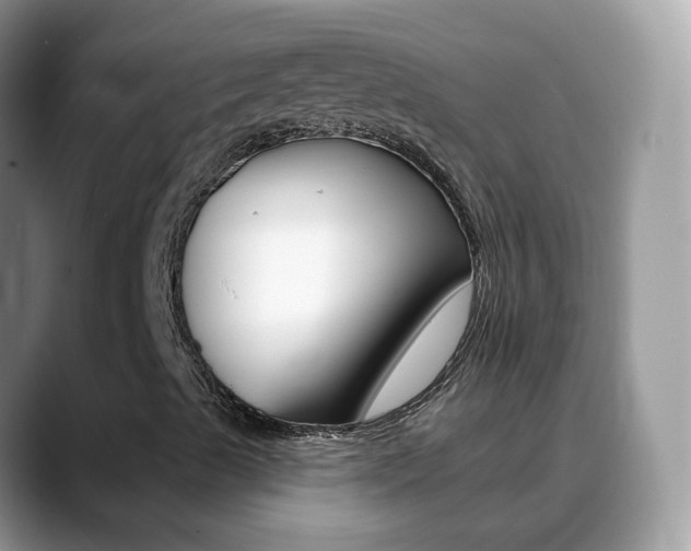 X0000088901489200706080816