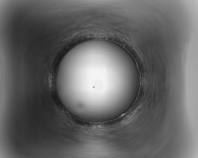 X0000088901490200706080816