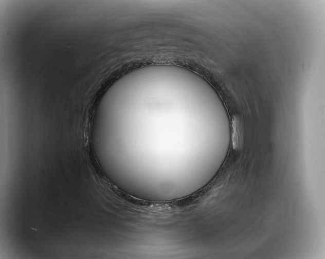 X0000088901491200706080816
