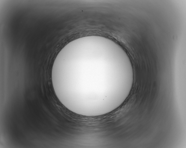X0000088901492200706080816