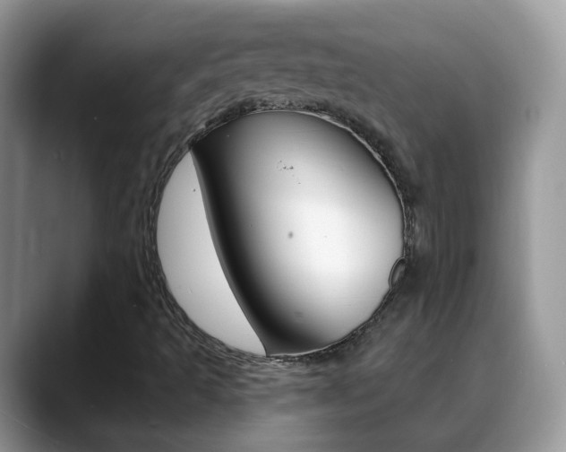 X0000088901493200706080816