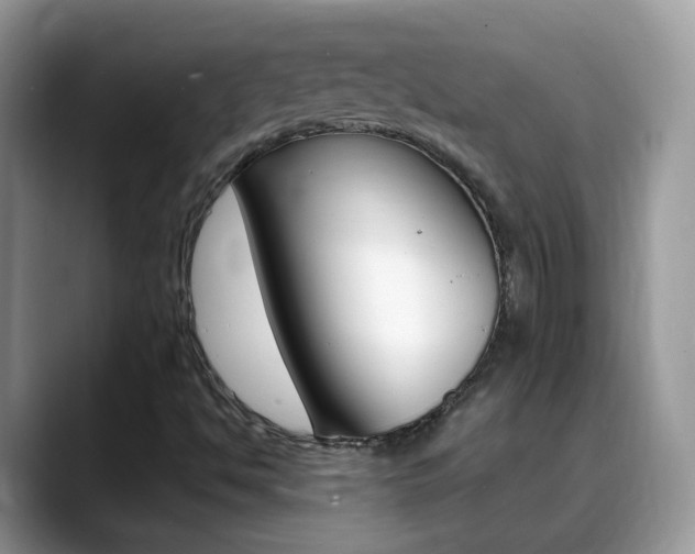 X0000088901494200706080816
