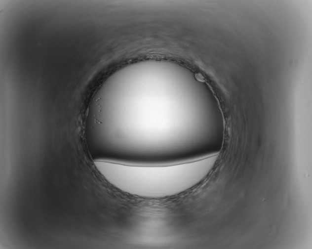 X0000088901495200706080816