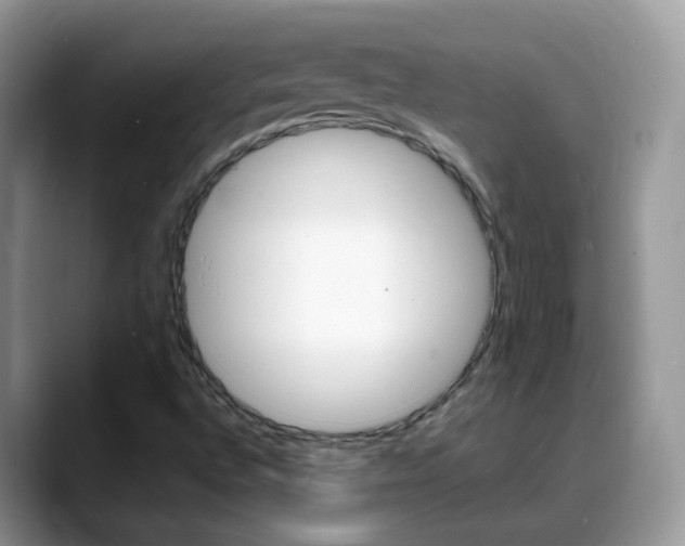 X0000088901496200706080816