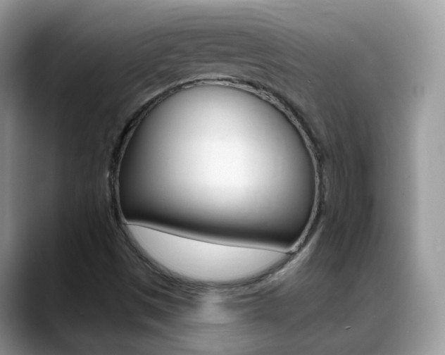 X0000088901497200706080816