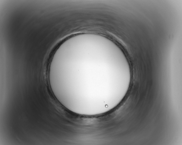 X0000088901498200706080816