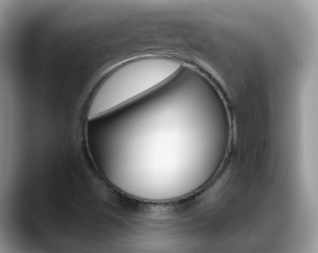 X0000088901501200706080816