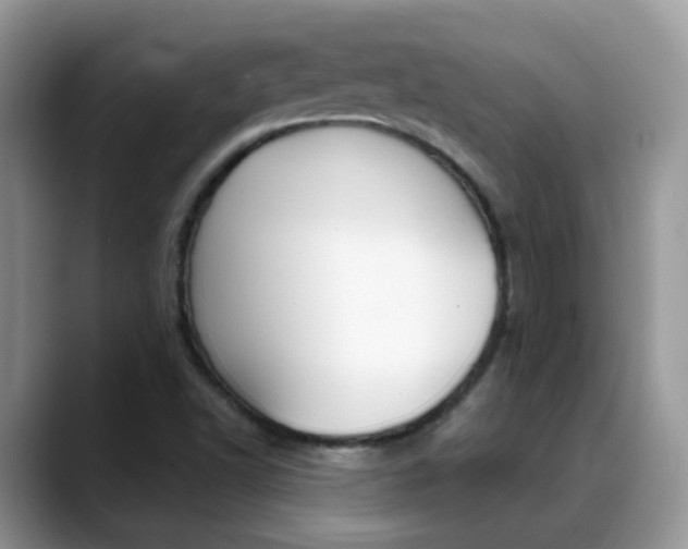 X0000088901502200706080816