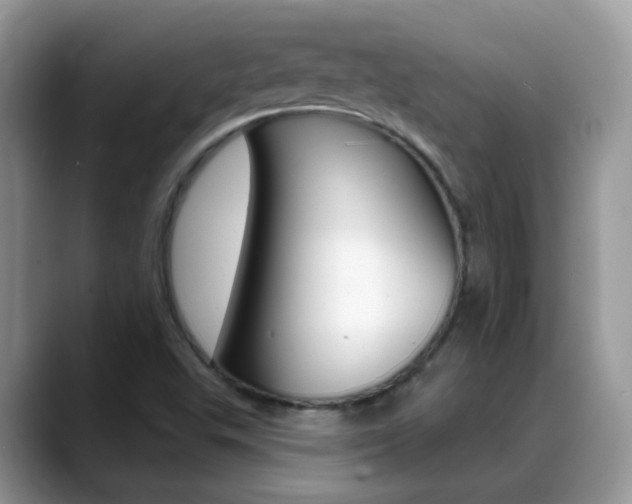 X0000088901503200706080816