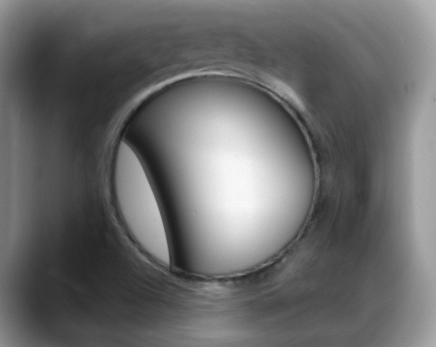 X0000088901504200706080816