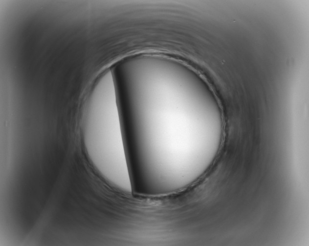 X0000088901505200706080816