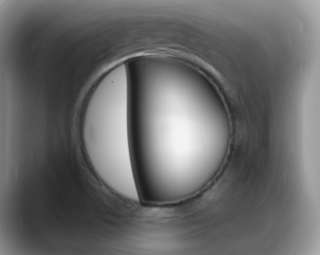 X0000088901506200706080816