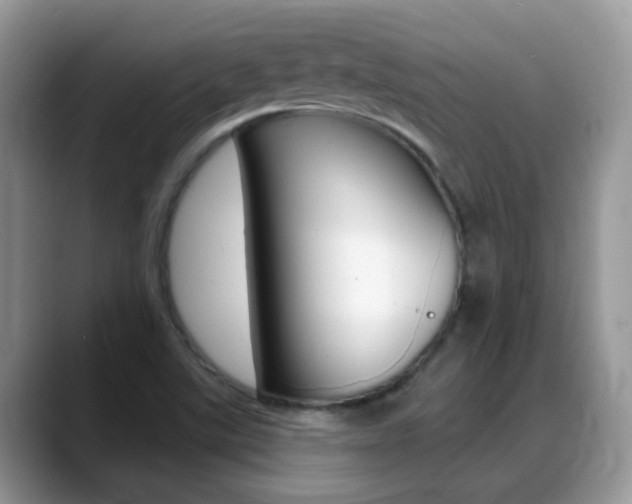 X0000088901507200706080816