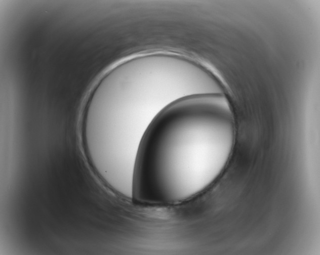 X0000088901508200706080816