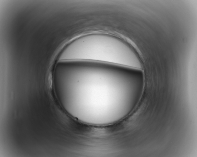 X0000088901509200706080816