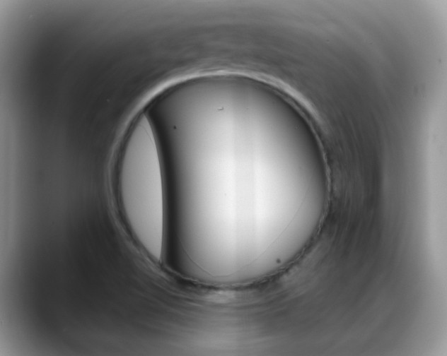 X0000088901510200706080816