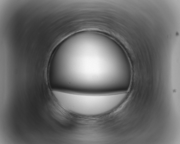 X0000088901513200706080816