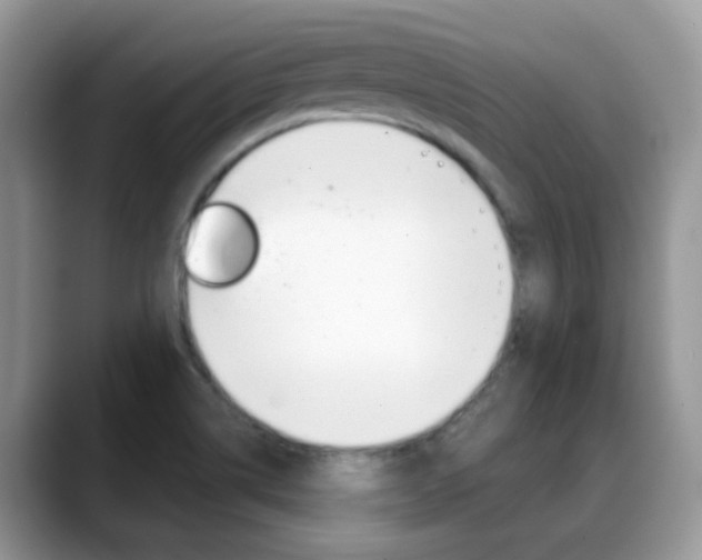 X0000088901514200706080816