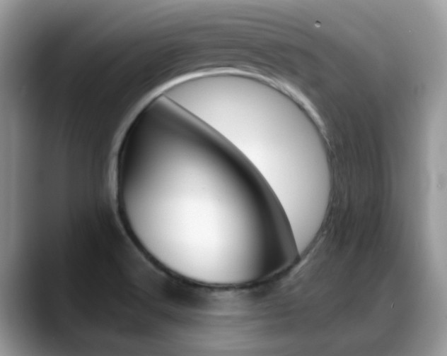 X0000088901516200706080816