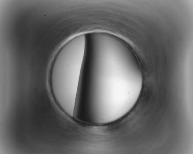 X0000088901518200706080816