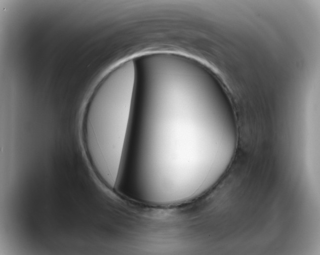 X0000088901519200706080816