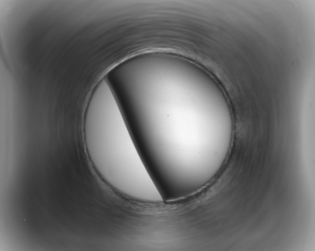 X0000088901521200706080816