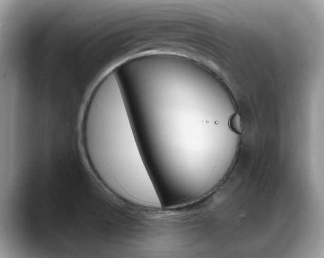 X0000088901522200706080816
