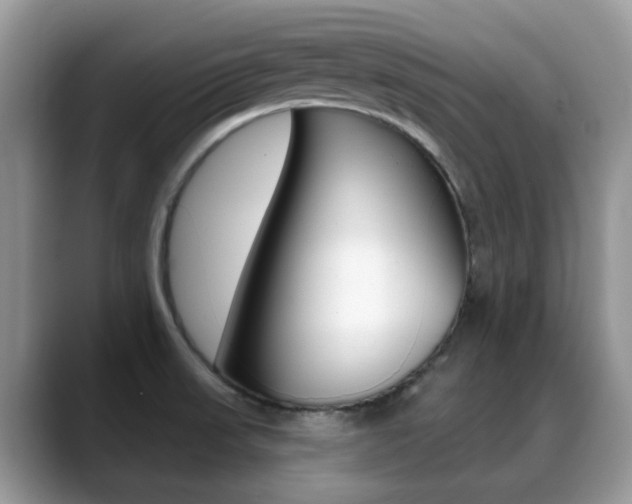 X0000088901523200706080816