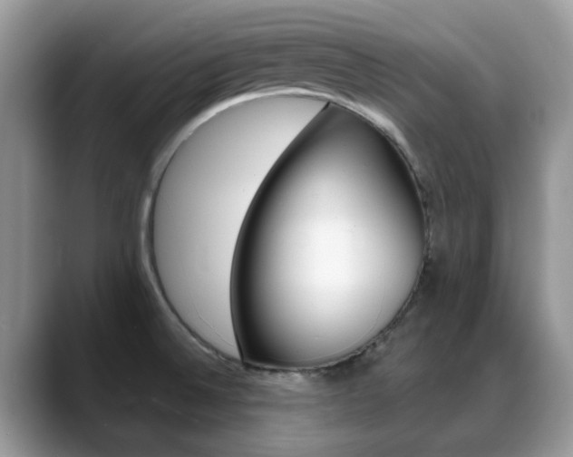 X0000088901524200706080816