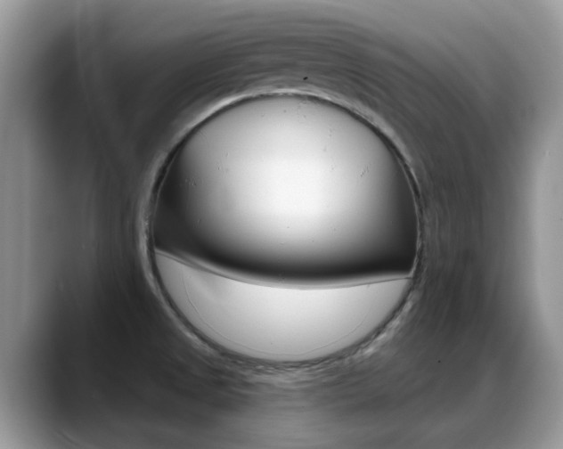 X0000088901525200706080816
