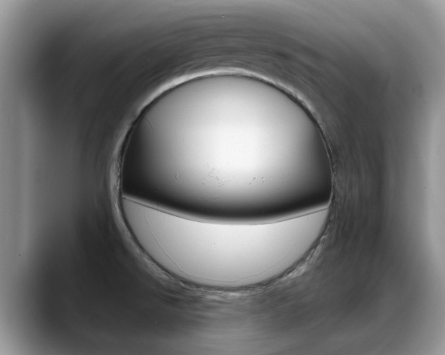 X0000088901526200706080816
