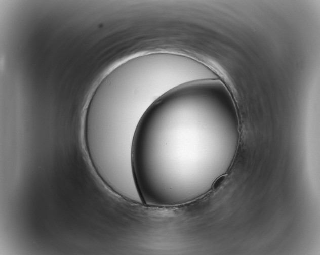 X0000088901528200706080816