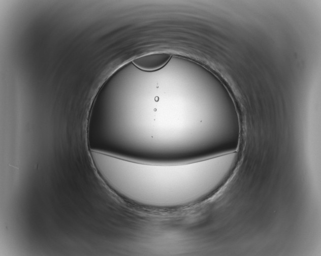 X0000088901529200706080816