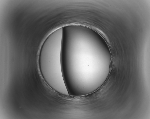 X0000088901530200706080816