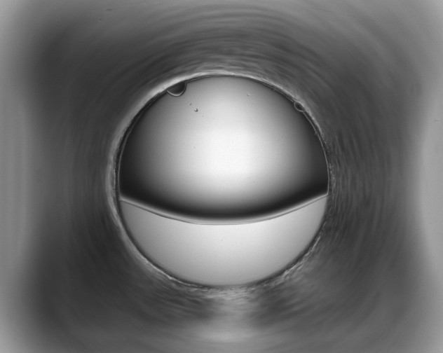 X0000088901531200706080816
