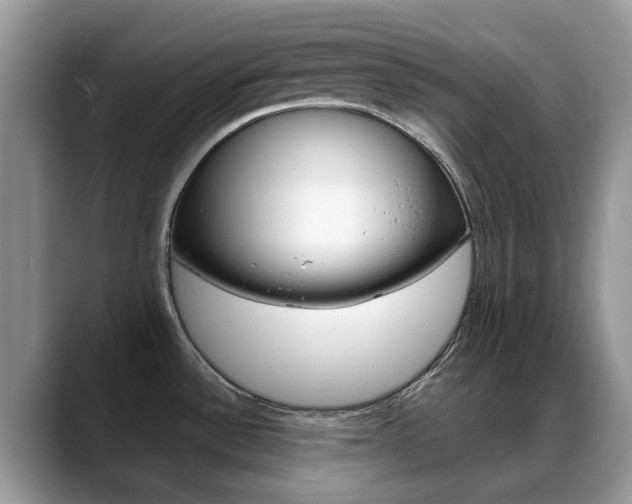 X0000088901532200706080816