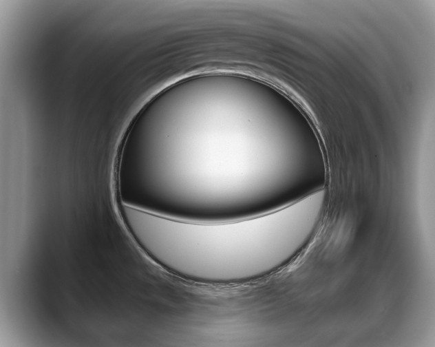 X0000088901533200706080816