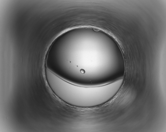 X0000088901534200706080816
